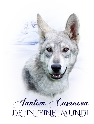 iko fantom